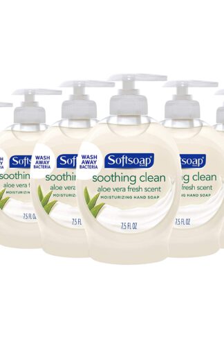 Softsoap Liquid Hand Soap, Aloe - 7.5 fluid ounce (Pack of 6)