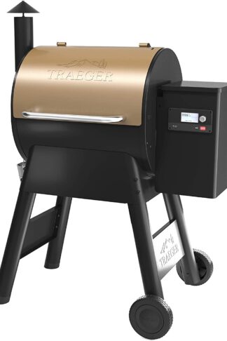 Traeger Grills TFB57GZEO Pro Series 575 Grill, Smoker, Bronze